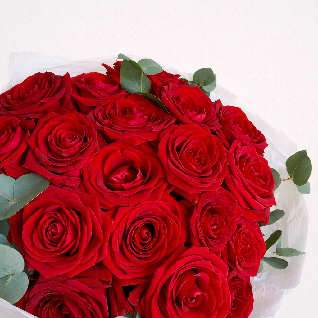 Timeless Red